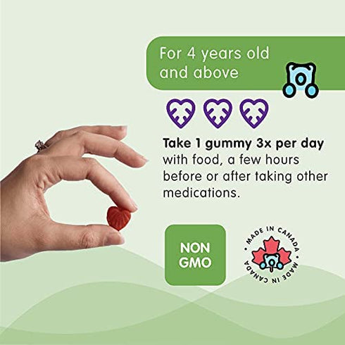 Herbaland Vegan Fruit & Veg Fiber Gummies for Kids - Sugar-Free, Gluten-Free, Gut Health Supplements, Organic, Natural Dietary Supplement, Healthy Digestive System - Black Currant Flavor, 60 Count