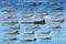 Laminated Tri-Service Fighter Aircraft Poster 24x36