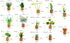 JUSTDOLIFE Plant Fridge Magnets-14 Pack Mini Succulent Plants Magnets Artificial Plants Refrigerator Magnets Potted Succulent Plants Magnet Stickers Cute for Magnet Boards Fridge Home Office Décor
