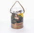 Terra by Battat – Insect World 60 pcs – Assorted Miniature Insect Toys For Kids 3+