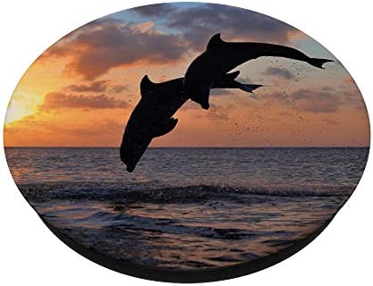 Sunset Dolphins - Cell Phone Mount & Hand Holder Knob 6460 PopSockets PopGrip: Swappable Grip for Phones & Tablets