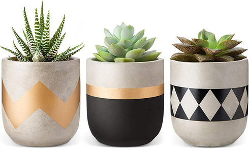 Mkono Cement Succulent Planter Set of 3 Concrete Plant Pots Modern Flower Pots Indoor for Cactus Herb or Small Plants Home Decor Gift Idea (Plants NOT Included), 4"
