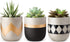 Mkono Cement Succulent Planter Set of 3 Concrete Plant Pots Modern Flower Pots Indoor for Cactus Herb or Small Plants Home Decor Gift Idea (Plants NOT Included), 4"
