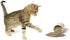 Purple Haze Catnip, Premium Blend Safe for Cats, Infused with Maximum Potency Your Kitty is Sure to Go Crazy for (1 Cup)