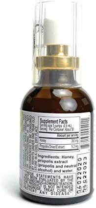 Brazilian Green Bee Propolis and Rain Forest Honey Oral Spray, 2 Bottle Pack