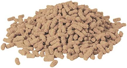 TetraPond Pond Sticks 3.53 Ounces, Pond Fish Food, For Goldfish And Koi, Tetra Pond Pond Sticks, Healthy Nutrition for Goldfish and Koi