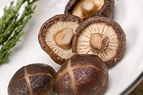 VIGOROUS MOUNTAINS Big Shiitake Dried Shitake Mushrooms 4-5 CM Whole (4)