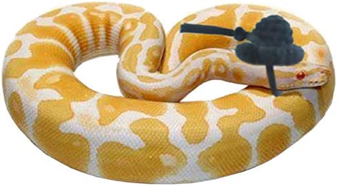 YUYUSO 3 Pack Snake Hats with Adjustable Elastic Chin Strap for Ball Python Tiny Pet Hat