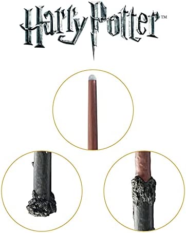 The Harry Potter Remote Control Wand