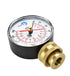 CARBO Instruments 2- 1/2" Pressure Gauge,Water Pressure Test Gauge, 3/4" Female Hose Thread, 0-200 PSI with Red Pointer
