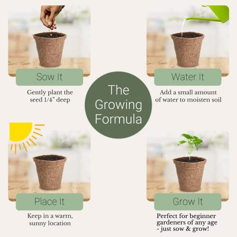 Winter Indoor Garden Kit - Herb Garden Seed Starter Kit for Gardening Indoors | Plant Grow Kit with Sage Rosemary Seeds and Hot Pepper Seeds for Planting | Growing Fresh Kitchen Herbs - By Mr Sprout
