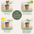 Winter Indoor Garden Kit - Herb Garden Seed Starter Kit for Gardening Indoors | Plant Grow Kit with Sage Rosemary Seeds and Hot Pepper Seeds for Planting | Growing Fresh Kitchen Herbs - By Mr Sprout