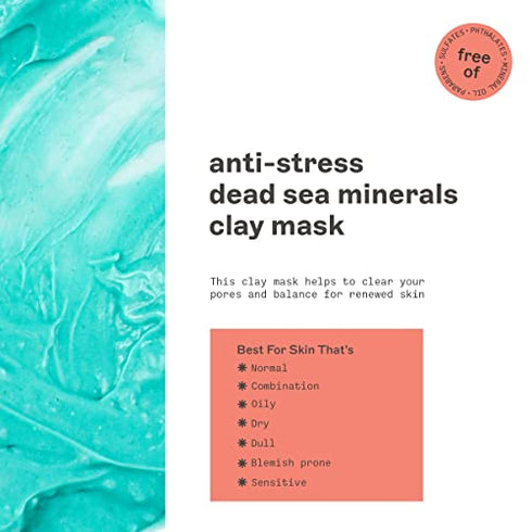 FREEMAN Facial Mask Variety Pack: Oil Absorbing and Anti Stress Clay, Detoxifying Charcoal Mud, Clearing Peel Off, Hydrating Gel Cream Beauty Face Masks, 6 count…