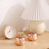 Artificial Plants Desk Fake Succulents Indoor Decor Office Room Decoration Small Tiny Realistic Plants in White Ceramic Potted (Pink-Gold)
