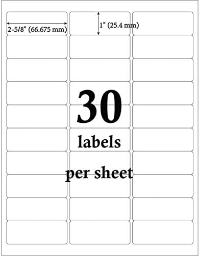 Mr-Label 1" x 2-5/8" Glossy Frosted Clear Address Labels - Waterproof and Tear-Resistant - for Inkjet & Laser Printer - for Envelope | Gift Bag | Bottle| Bar Code (10 Sheets Total 300 Labels)