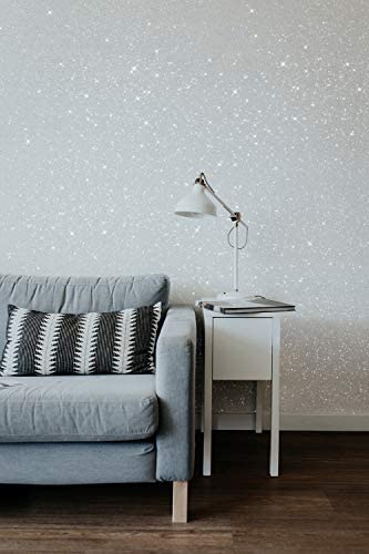 Hemway Glitter Paint Additive 100g / 3.5oz Crystals for Acrylic Emulsion Paint - Interior Wall, Furniture, Ceiling, Wood, Varnish, Matte - Microfine (1/256" 0.004" 0.1mm) - Silver Holographic