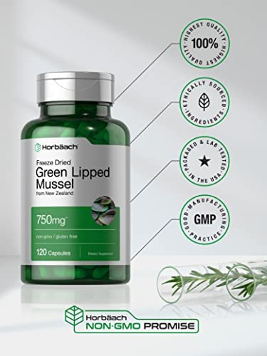 Green Lipped Mussel | 750 mg | 120 Capsules | from New Zealand | Premium Freeze Dried Mussel Powder | Non-GMO and Gluten Free | by Horbaach
