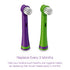 Brusheez® Electronic Toothbrush Replacement Brush Heads 2 Pack (Snappy The Croc)