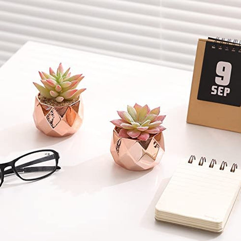 Artificial Plants Desk Fake Succulents Indoor Decor Office Room Decoration Small Tiny Realistic Plants in White Ceramic Potted (Pink-Gold)