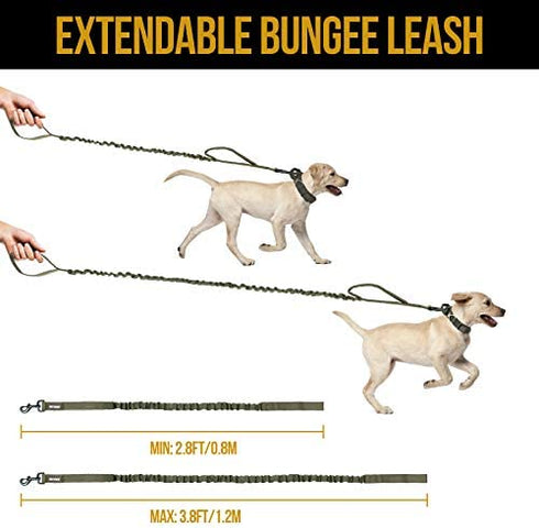 OneTigris Tactical Dog Training Bungee Leash with 2 Control Handle Quick Release Nylon Leads Rope(Ranger Green)