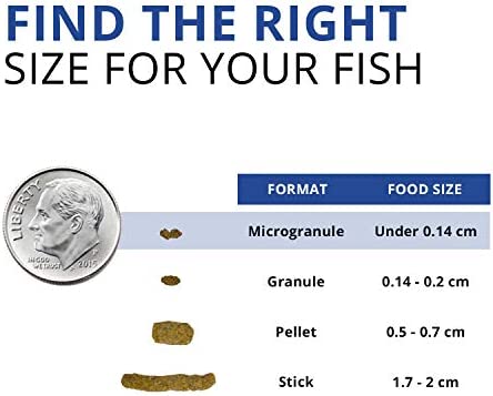 Fluval Bug Bites Betta Fish Food, Granules for Small to Medium Sized Fish, 1.06 oz.