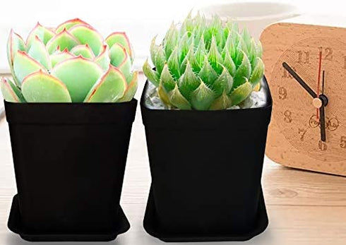 Xilanhhaa 24 Pack 3 inch Black Square Nursery Flower Pots Plastic Plant Pot with Saucer,Seedling Nursery Transplanting Planter Container for Your Room,Garden Office and Balcony Decor