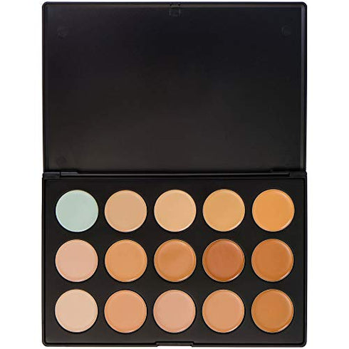 SHANY Professional Cream Foundation and Camouflage Concealer - 15 Color Palette