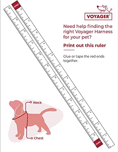 Voyager Step-In Air Dog Harness - All Weather Mesh Step in Vest Harness for Small and Medium Dogs by Best Pet Supplies - Pink Base, L