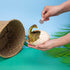 1Pcs Dinosaur Piggy Bank Baby Brachiosaurus Money Bank for Boys