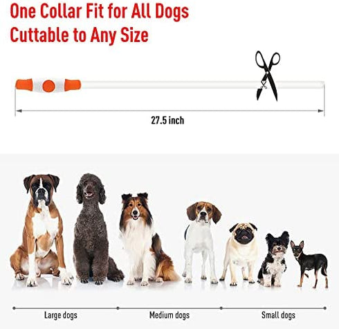 Vizbrite LED Dog Collar, USB Rechargeable Light Up Dog Collars, Glow Safety Basic Dog Collars for Night Walking, Waterproof Collar for Small Medium Large Dogs