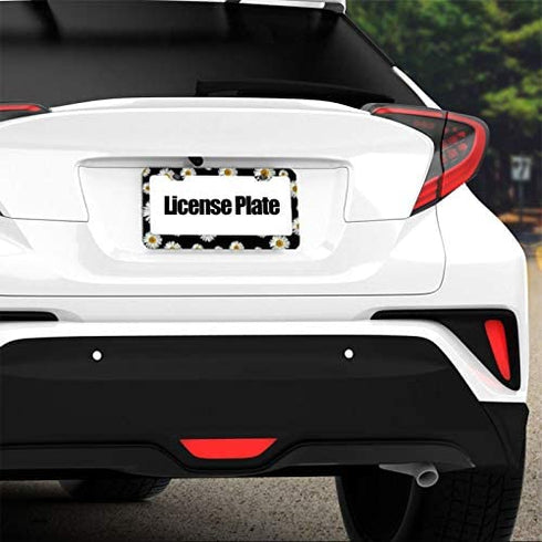 FunnyLpopoiamef Customized Personalized Stainless Steel License Plate Frame Holder, Decorative License Plate Frame White Daisy Black Background