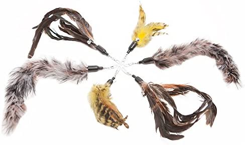 The Natural Pet Company Cat Toys Feather Refill 6 Pack - Add Life to Your Cat's Favorite Toy with This Interchangeable Feather Refill Multipack (As Photographed).