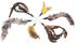 The Natural Pet Company Cat Toys Feather Refill 6 Pack - Add Life to Your Cat's Favorite Toy with This Interchangeable Feather Refill Multipack (As Photographed).