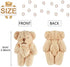 20 Pieces Mini Stuffed Bears Small Plush Doll Bears Soft Animal Toys Tiny Bears for 2021 Graduation Birthday Wedding Decorations Party Favors (Basic Style)