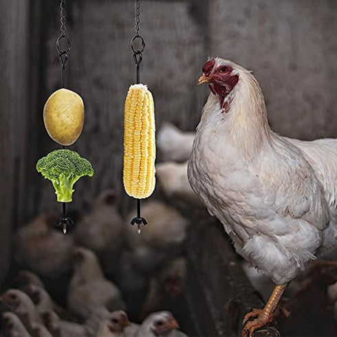 winemana 3PCS Chicken Veggies Skewer Fruit Holder for Hens Pet Chick, Coop Accessories Vegetable Hanging Feeder, Foraging Tool for Large Birds