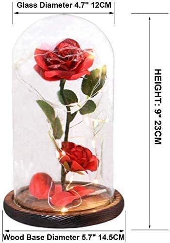 Beauty and The Beast Rose ,Rose Kit, Red Silk Rose and Led Light with Fallen Petals in Glass Dome on Wooden Base Valentine's Day Anniversary Birthday