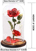 Beauty and The Beast Rose ,Rose Kit, Red Silk Rose and Led Light with Fallen Petals in Glass Dome on Wooden Base Valentine's Day Anniversary Birthday