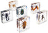 EJLIFEBOX 6 PCS Insect Specimen Set, Spider/Scorpion/Cricket/Flower Chafers/Stink Bug/Spotted Lanternfly Resin Collection Science Toys