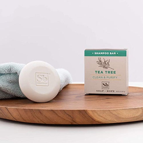 Soapbox Tea Tree Shampoo Bar, Natural, Eco Friendly Bar Shampoo for Dry Scalp | Color Safe, Sulfate Free, Paraben Free, Silicone Free, Cruelty Free, and Vegan Shampoo, 3.1oz (Pack of 1)