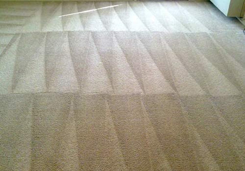 Capture Pre-Mist Soil Release for Carpet Dry Cleaner - Carpet Cleaning Pre Spray - Loosen Juice, Coffee & Wine Spill and Tough Rug Stains Eliminator - Multi-Purpose Cleaning Essentials (2 Pack)