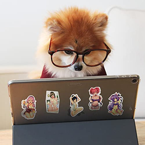 300 PCS Anime Sexy Lady Stickers, Vinyl Waterproof Adults Stickers, Cute Variety Pack for Laptop Computer Skateboard Bicycle Luggage Decal?Anime Stickers Girl-300Pcs?