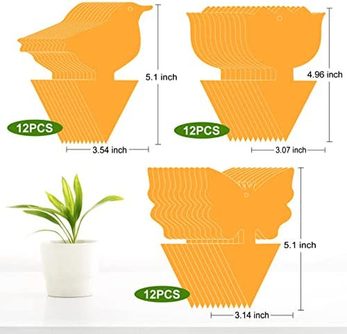 36 Pack Fruit Fly Gnat Traps for Indoor Outdoor Plants, Orange Fungus Gnats Killer for indoors Houseplants, Flying Insect Mosquitoes Catcher