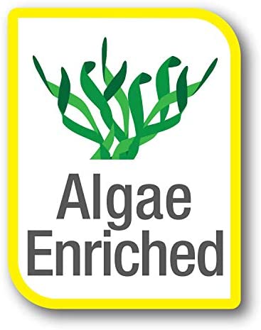 Tetra PlecoWafers 86 Grams, Nutritionally Balanced Fish Food For Algae Eaters