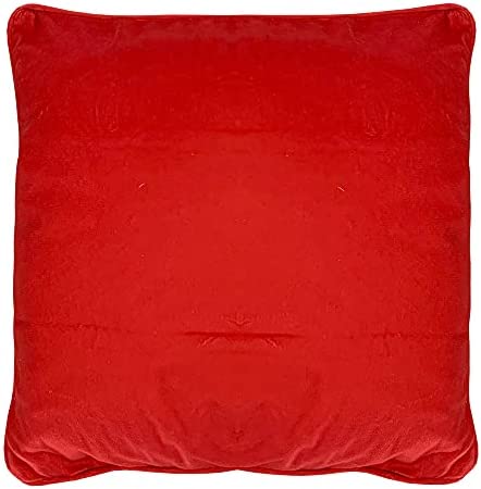 Franco Kids Bedding Soft Decorative Pillow Cover, 15 in x 15 in, Pokemon