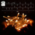 echosari 100 LEDs Outdoor LED Fairy String Lights Battery Operated with Remote (Dimmable, Timer, 8 Modes) - Warm White