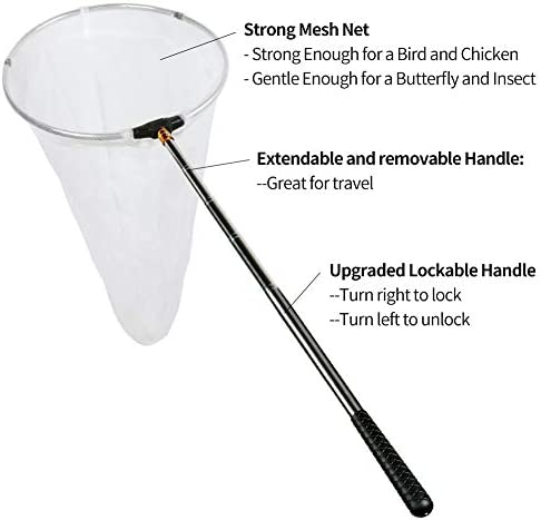 RESTCLOUD Insect and Butterfly Net with 12" Ring, 24" Net Depth, Handle Extends to 59 Inches for Adults and Kids (12" Ring, 59" Handle)