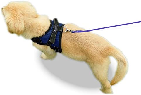 Copatchy No Pull Reflective Adjustable Dog Harness with Handle (X-Small, Blue)