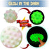 Zayedo Pop Its Ball Fidget Toy (2 Pack - Glow in The Dark) 3D Popit Toys (Round + Flat)