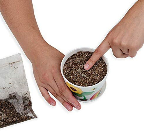 Creativity for Kids Sunflower Garden - Sunflower Growing Kit - Garden Set for Girls and Boys