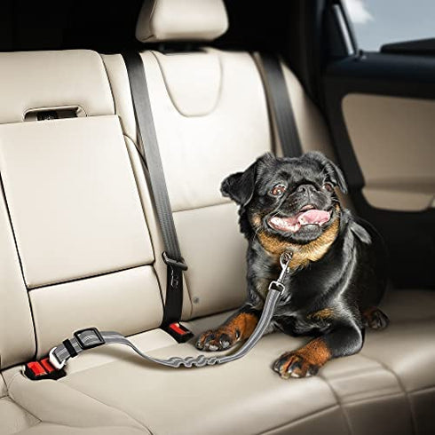 Seat Belt for Dogs with Elastic Bungee Buffer | Car Travel Accessories for Dogs Adjustible, Elastic (Grey)